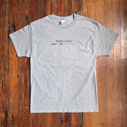 Perfect Grey T-Shirt (V. 1)
